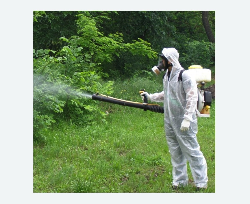 обработка территории от клещей в Чапаевске