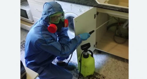 Уничтожение муравьев в квартире. Чапаевск