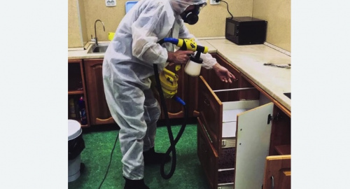 Уничтожение насекомых в квартире. Чапаевск