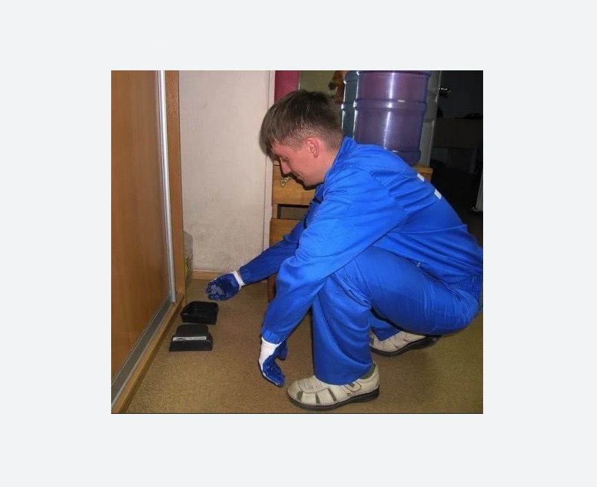 Дератизация крыс в Чапаевске