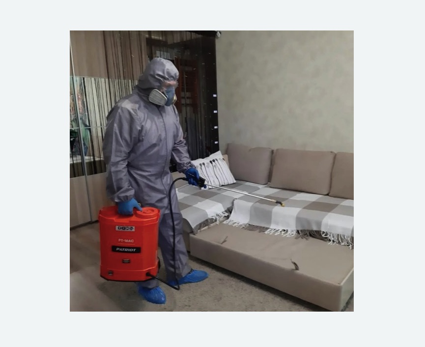 Обработка квартиры от блох в Чапаевске Обработка квартиры от блох