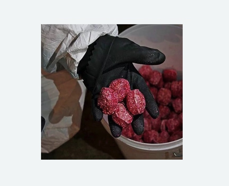 Обработка от крыс в Чапаевске