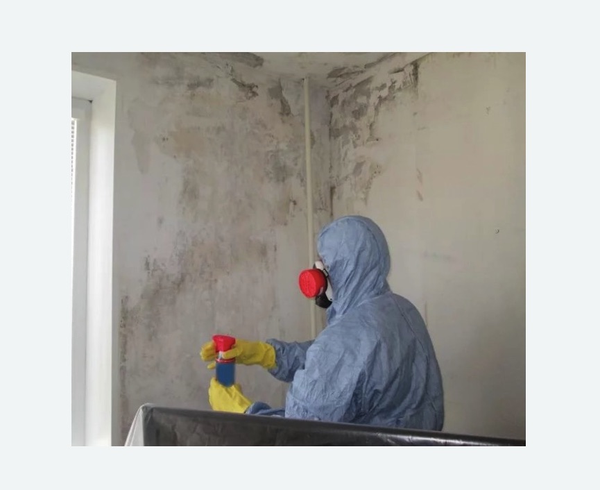Удаление плесени в квартире в Чапаевске