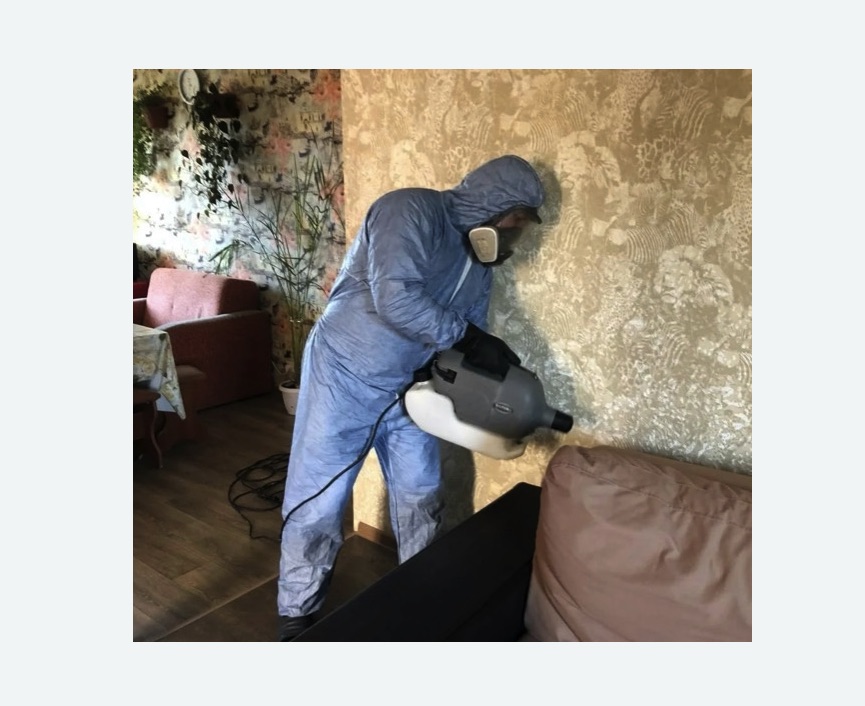 Уничтожение блох в квартире. Чапаевск Уничтожение блох в квартире