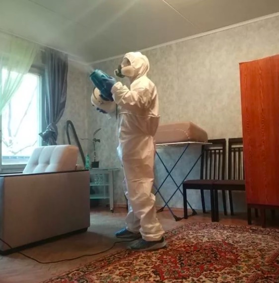 дезинсекция квартиры в Чапаевске