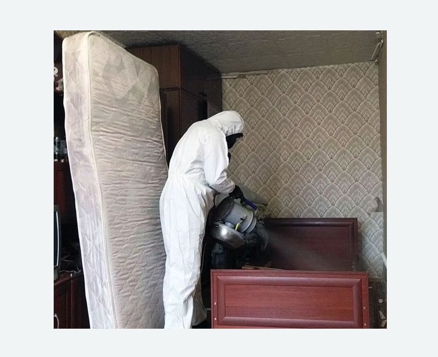 дезинфекция от клопов в Чапаевске