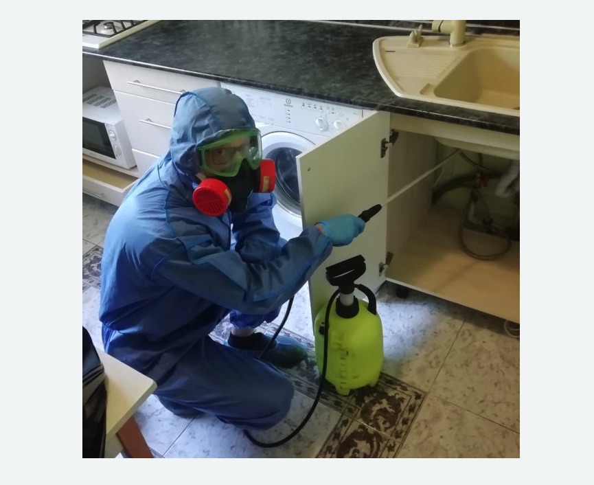 обработка от муравьев в квартире обработка от муравьев в квартире в Чапаевске