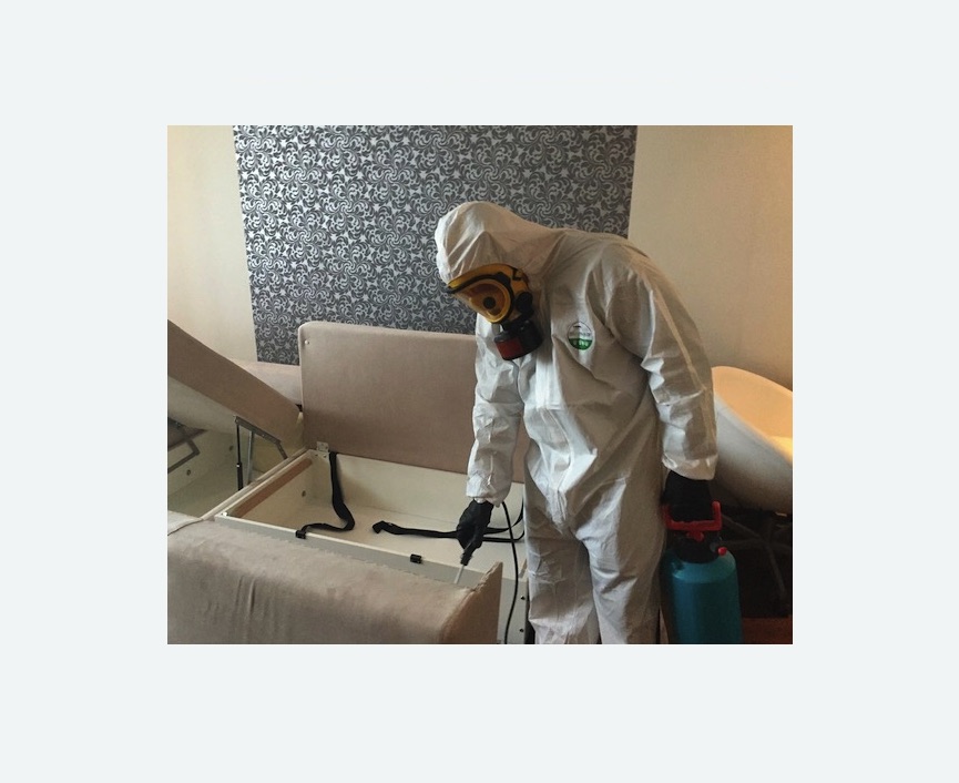 уничтожение клопов в квартире в Чапаевске