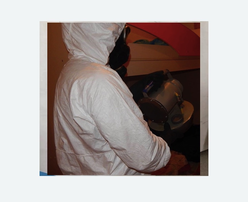 Дезинфекция от муравьев Дезинфекция от муравьев в Чапаевске