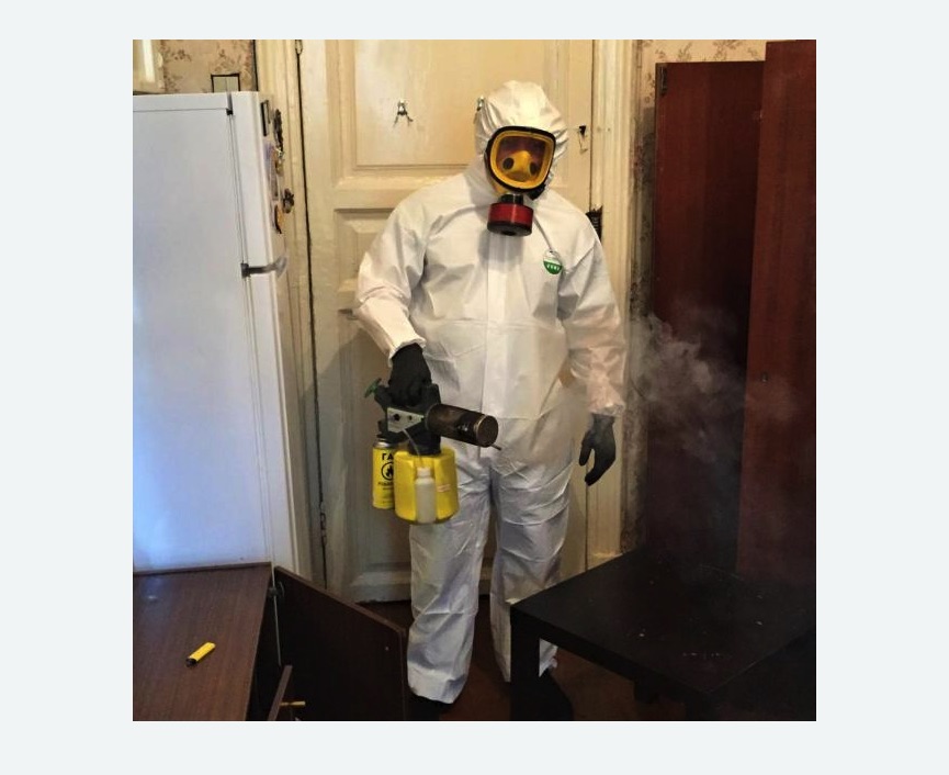 уничтожение муравьев в квартире уничтожение муравьев в квартире в Чапаевске